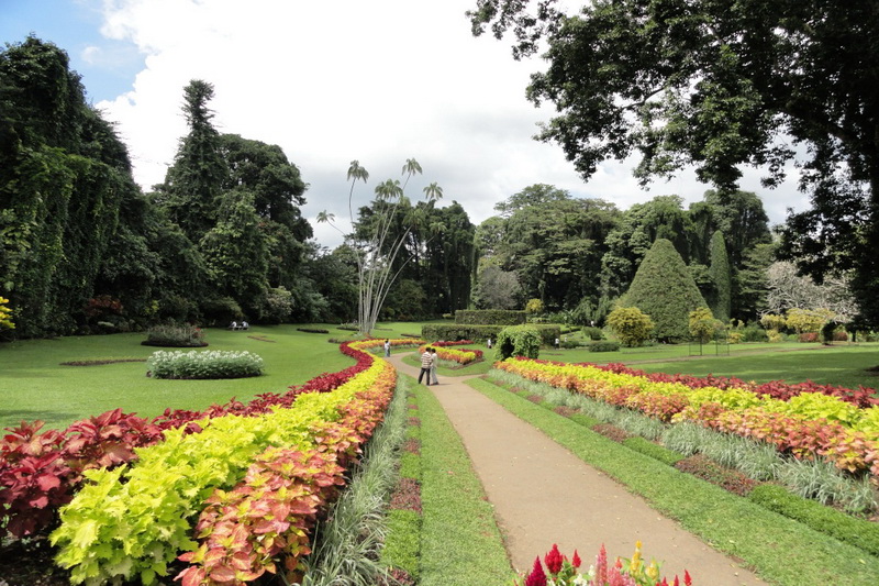 Sri Lanka, Kandy, Royal Botanical Garden